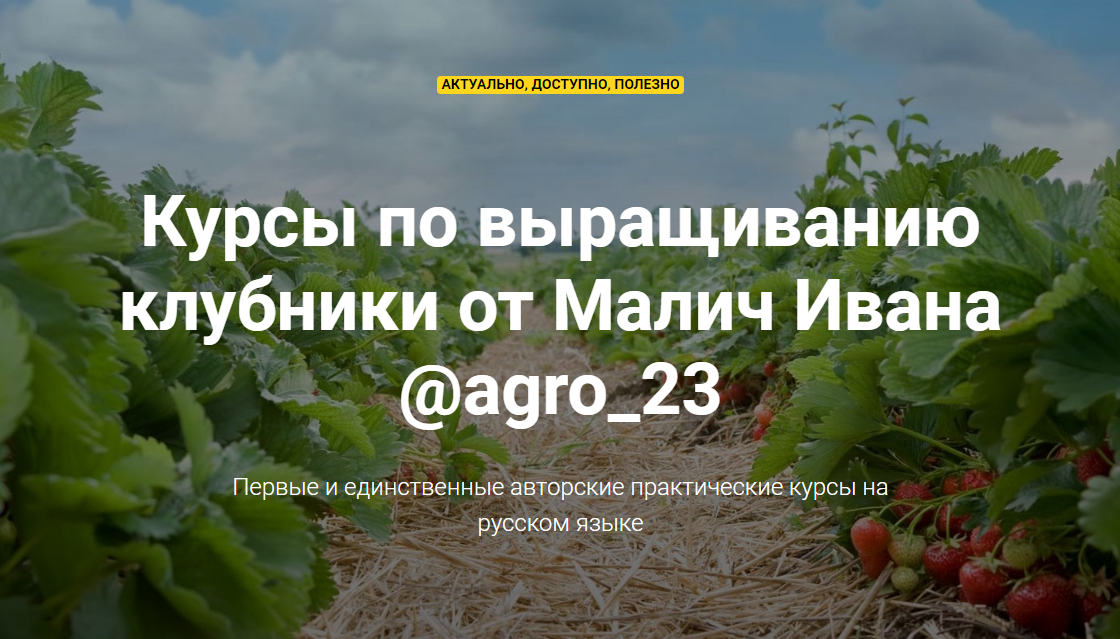 [Иван Малич] Курсы по выращиванию клубники (2020)_0.png